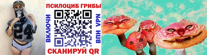 Псилоцибиновые грибы Magic Shrooms  Нерехта 